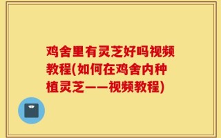 鸡舍里有灵芝好吗视频教程(如何在鸡舍内种植灵芝——视频教程)