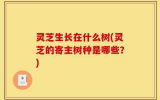 灵芝生长在什么树(灵芝的寄主树种是哪些？)