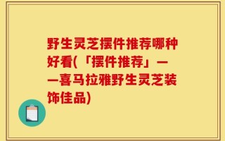 野生灵芝摆件推荐哪种好看(「摆件推荐」——喜马拉雅野生灵芝装饰佳品)