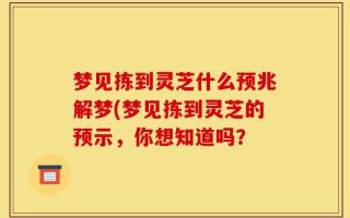 梦见拣到灵芝什么预兆解梦(梦见拣到灵芝的预示，你想知道吗？