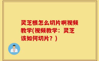 灵芝根怎么切片啊视频教学(视频教学：灵芝该如何切片？)