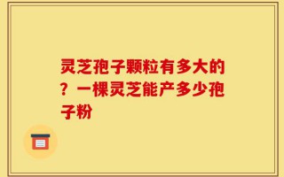 灵芝孢子颗粒有多大的？一棵灵芝能产多少孢子粉