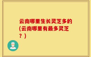 云南哪里生长灵芝多的(云南哪里有最多灵芝？)