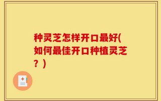 种灵芝怎样开口最好(如何最佳开口种植灵芝？)