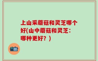 上山采蘑菇和灵芝哪个好(山中蘑菇和灵芝：哪种更好？)