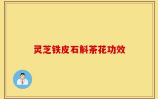 灵芝铁皮石斛茶花功效