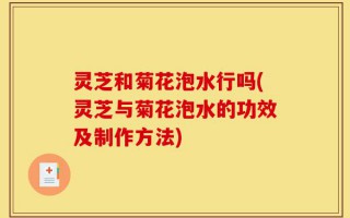 灵芝和菊花泡水行吗(灵芝与菊花泡水的功效及制作方法)