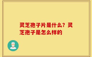 灵芝孢子片是什么？灵芝孢子是怎么样的