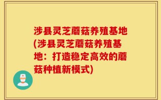 涉县灵芝蘑菇养殖基地(涉县灵芝蘑菇养殖基地：打造稳定高效的蘑菇种植新模式)
