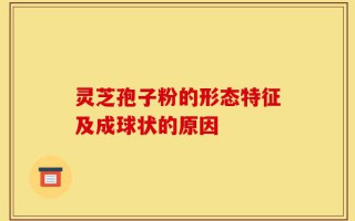 灵芝孢子粉的形态特征及成球状的原因