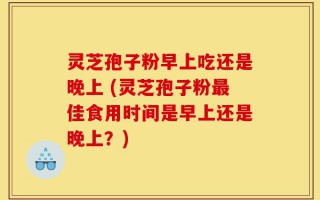灵芝孢子粉早上吃还是晚上 (灵芝孢子粉最佳食用时间是早上还是晚上？)