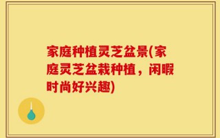 家庭种植灵芝盆景(家庭灵芝盆栽种植，闲暇时尚好兴趣)