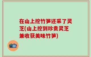 在山上挖竹笋还采了灵芝(山上挖到珍贵灵芝兼收获美味竹笋)