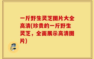 一斤野生灵芝图片大全高清(珍贵的一斤野生灵芝，全面展示高清图片)
