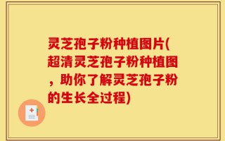 灵芝孢子粉种植图片(超清灵芝孢子粉种植图，助你了解灵芝孢子粉的生长全过程)