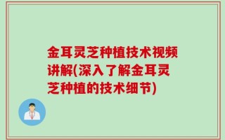 金耳灵芝种植技术视频讲解(深入了解金耳灵芝种植的技术细节)
