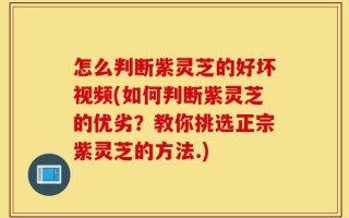 怎么判断紫灵芝的好坏视频(如何判断紫灵芝的优劣？教你挑选正宗紫灵芝的方法.)
