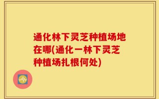 通化林下灵芝种植场地在哪(通化一林下灵芝种植场扎根何处)