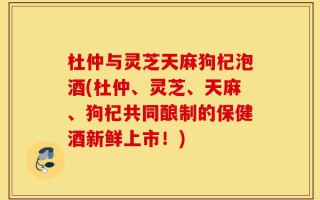 杜仲与灵芝天麻狗杞泡酒(杜仲、灵芝、天麻、狗杞共同酿制的保健酒新鲜上市！)
