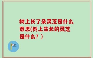 树上长了朵灵芝是什么意思(树上生长的灵芝是什么？)