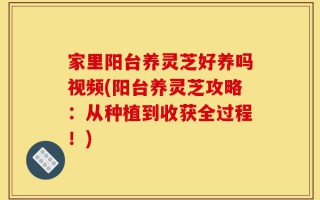 家里阳台养灵芝好养吗视频(阳台养灵芝攻略：从种植到收获全过程！)