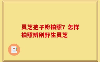 灵芝孢子粉拍照？怎样拍照辨别野生灵芝