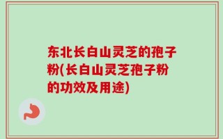 东北长白山灵芝的孢子粉(长白山灵芝孢子粉的功效及用途)