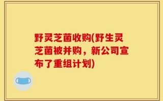 野灵芝菌收购(野生灵芝菌被并购，新公司宣布了重组计划)