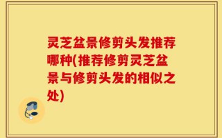 灵芝盆景修剪头发推荐哪种(推荐修剪灵芝盆景与修剪头发的相似之处)