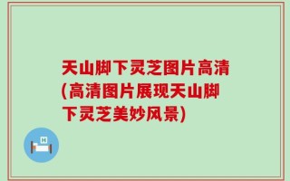 天山脚下灵芝图片高清(高清图片展现天山脚下灵芝美妙风景)