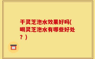 干灵芝泡水效果好吗(喝灵芝泡水有哪些好处？)