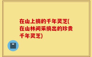 在山上摘的千年灵芝(在山林间采摘出的珍贵千年灵芝)