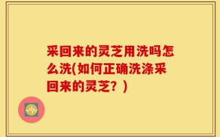 采回来的灵芝用洗吗怎么洗(如何正确洗涤采回来的灵芝？)