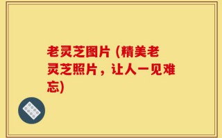 老灵芝图片 (精美老灵芝照片，让人一见难忘)