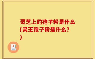 灵芝上的孢子粉是什么(灵芝孢子粉是什么？)