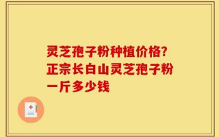 灵芝孢子粉种植价格？正宗长白山灵芝孢子粉一斤多少钱