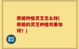 燕姐种植灵芝怎么样(燕姐的灵芝种植效果如何？)