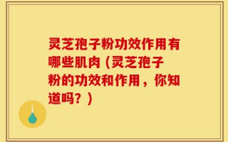 灵芝孢子粉功效作用有哪些肌肉 (灵芝孢子粉的功效和作用，你知道吗？)