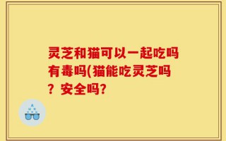 灵芝和猫可以一起吃吗有毒吗(猫能吃灵芝吗？安全吗？