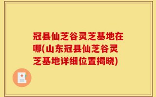 冠县仙芝谷灵芝基地在哪(山东冠县仙芝谷灵芝基地详细位置揭晓)