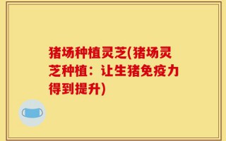 猪场种植灵芝(猪场灵芝种植：让生猪免疫力得到提升)