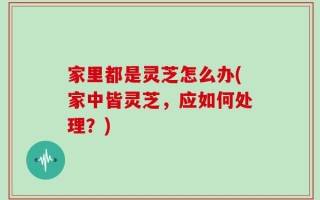 家里都是灵芝怎么办(家中皆灵芝，应如何处理？)