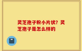灵芝孢子粉小片状？灵芝孢子是怎么样的