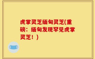 虎掌灵芝缅甸灵芝(重磅：缅甸发现罕见虎掌灵芝！)