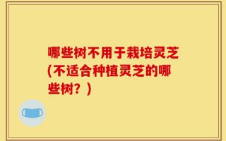 哪些树不用于栽培灵芝(不适合种植灵芝的哪些树？)