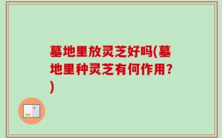 墓地里放灵芝好吗(墓地里种灵芝有何作用？)
