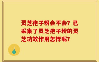灵芝孢子粉会不会？已采集了灵芝孢子粉的灵芝功效作用怎样呢？