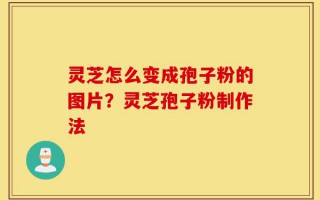 灵芝怎么变成孢子粉的图片？灵芝孢子粉制作法