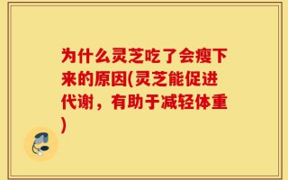 为什么灵芝吃了会瘦下来的原因(灵芝能促进代谢，有助于减轻体重)