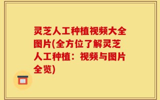 灵芝人工种植视频大全图片(全方位了解灵芝人工种植：视频与图片全览)